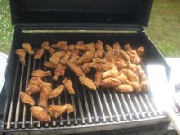 Rock for the Cure July 18, 09 008